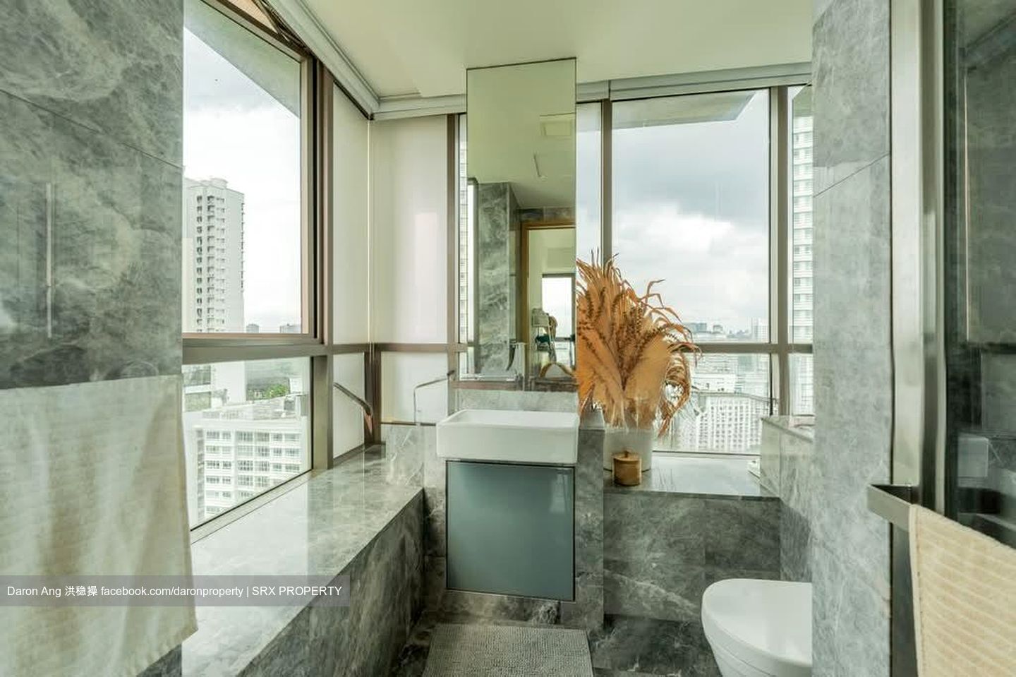 Skyline Residences (D4), Condominium #607296961